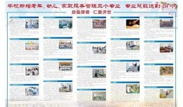 白城医学最新爆料新闻,重大突破揭示疾病治疗新路径